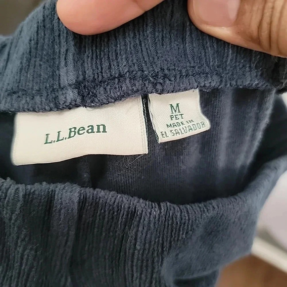 L.L. BEAN Perfect Fit Knit Cords Pull On Pants Straight Blue Petite Medium Soft - Picture 4 of 5